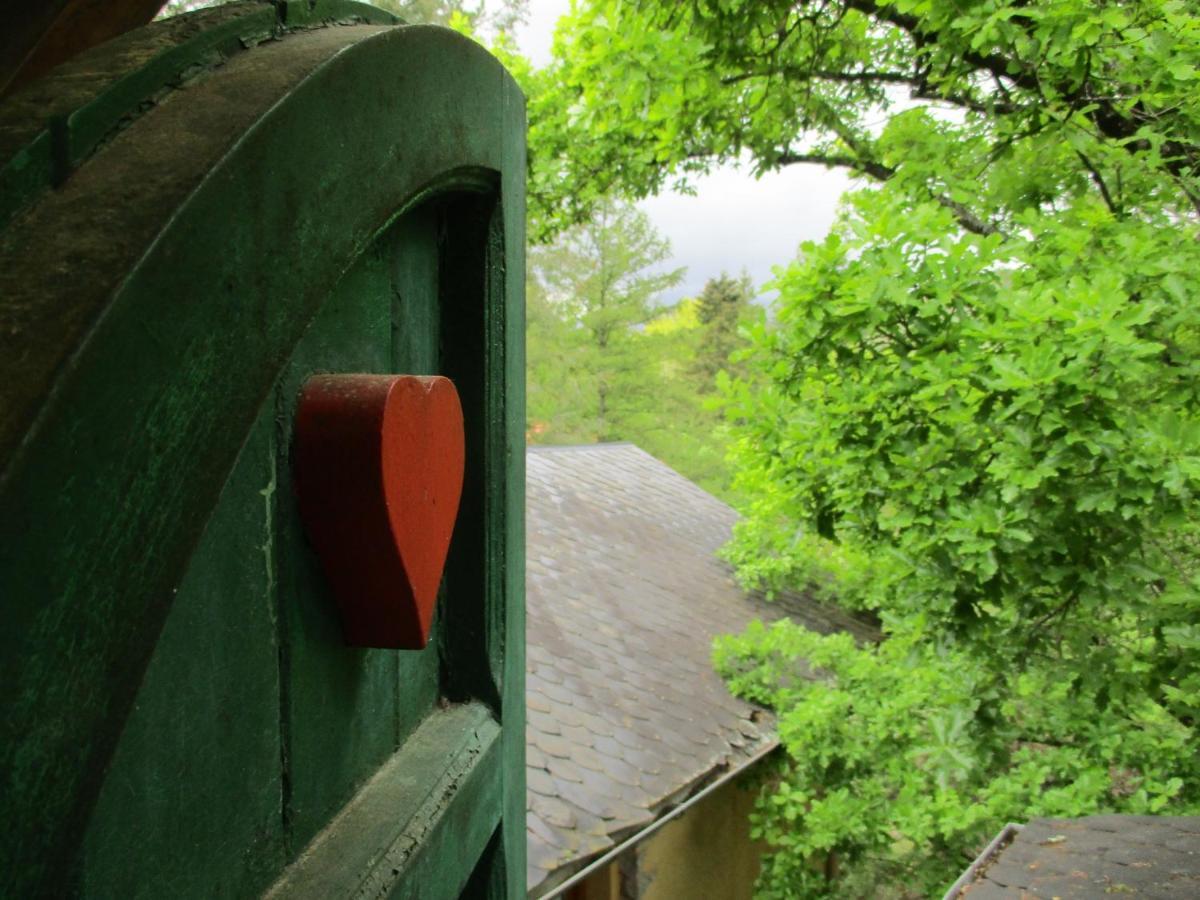 Bed & Breakfast Satori B&B - Adults Only 3*