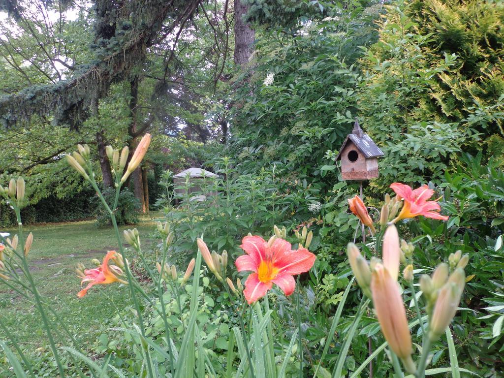 Bed & Breakfast Satori B&B - Adults Only 3*